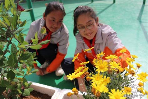 坦诚 的图像结果