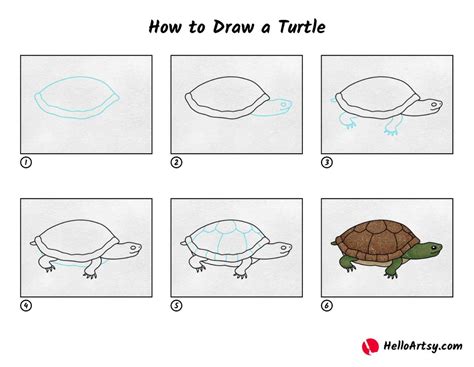 Image result for How to Draw House Using a Turtle