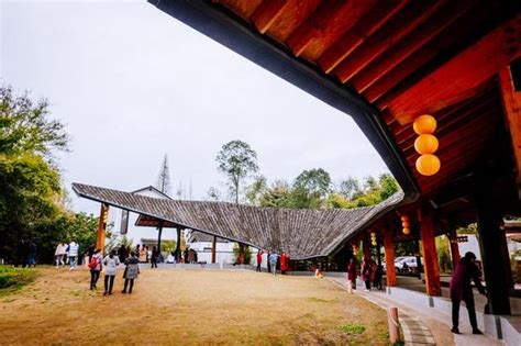 崇州买什么礼物好最新素材