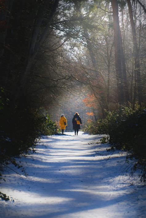 People Walking Together 的图像结果