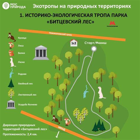 Семь экомаршрутов: где лучше всего гулять осенью