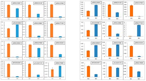 Exploring the Mechanisms Underlying Petal Pigmentation Differences in ...