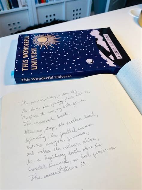 Science Notebook Example 的图像结果