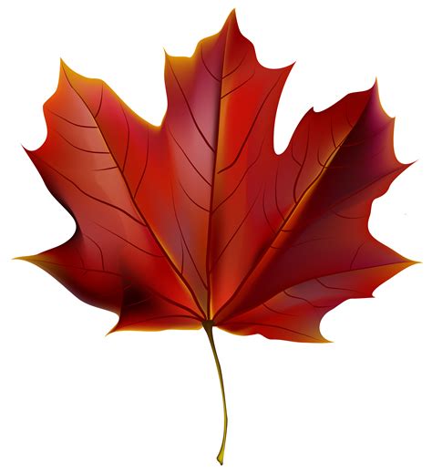 Red Leaf Clip Art