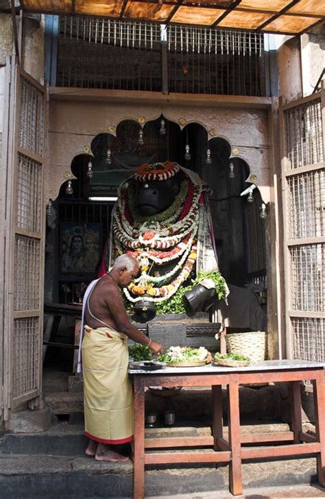 Puja For At Sri Nandikeshwara Sannadhi|Puja In Nanjangud Srikanteshwara ...