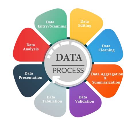 Procesing Data 的图像结果