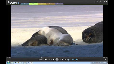 Image result for CyberLink PowerDVD 11 Tutorial