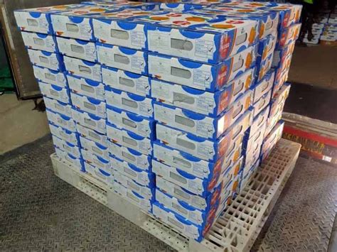 400 boxes of saffron mangoes from Talala passed through the radiation ...