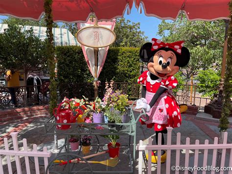 Guide To EVERY Character Breakfast in Disney World and Disneyland | the ...