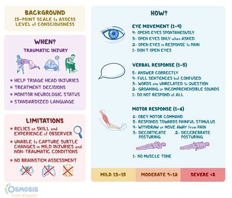 Glasgow Coma Scale: What Is It, Uses, Interpretation, and More | Osmosis