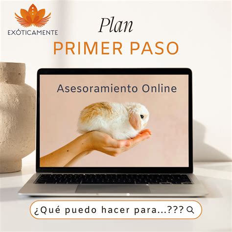 Plan Primer Paso - Asier LP | Hotmart