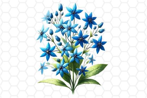 Bluestar Flower Clipart | Floral PNG Design (3555603)