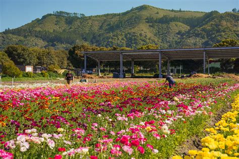 About Our Farm Stand | Earthbound Farm Canada