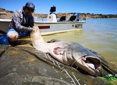 Pro Predator Fishing Adventures (Caspe) - All You Need to Know BEFORE ...