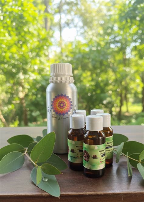 Premium Henna Blend Oil – Sri SJM Divine Crafte