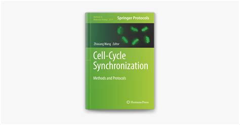 Image result for Cell Cycle Synchronization