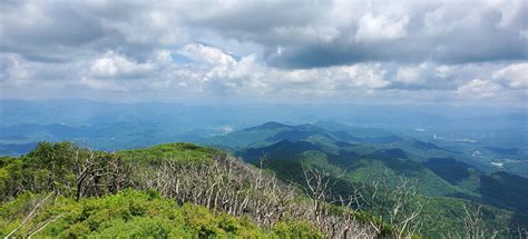 Wayah Bald, North Carolina - 204 Reviews, Map | AllTrails