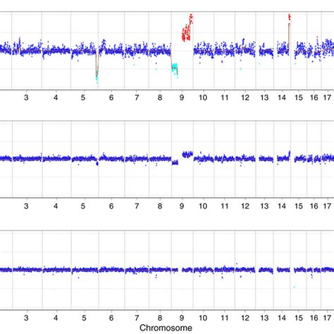 Image result for Formation of Copy Number Variation