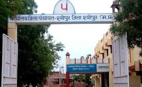 श्योपुर में सरपंच ने पूरे परिवार को बनाया फर्जी मजदूर, डकार गया 1.75 ...