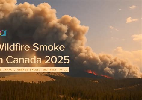 Real-Time Canada Weather Conditions & Forecast | Temperature, Humidity