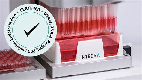 PCR Lab Setup 的图像结果