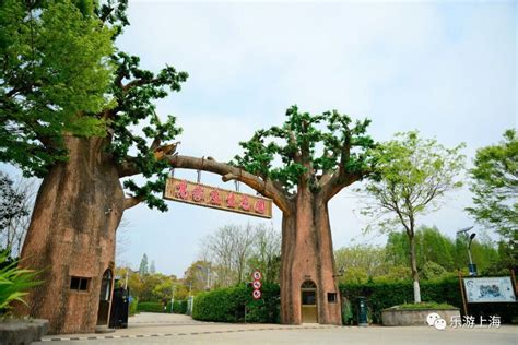 上海最新130家A级景区全名单来了！数数你都去过几家？_世茂集团
