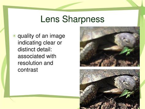 Digital Photography 的图像结果