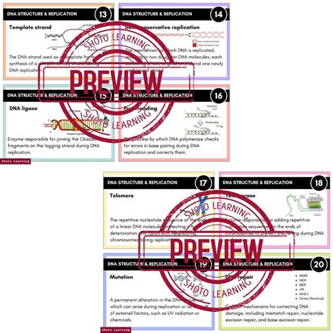 DNA Learning Worksheet 的图像结果
