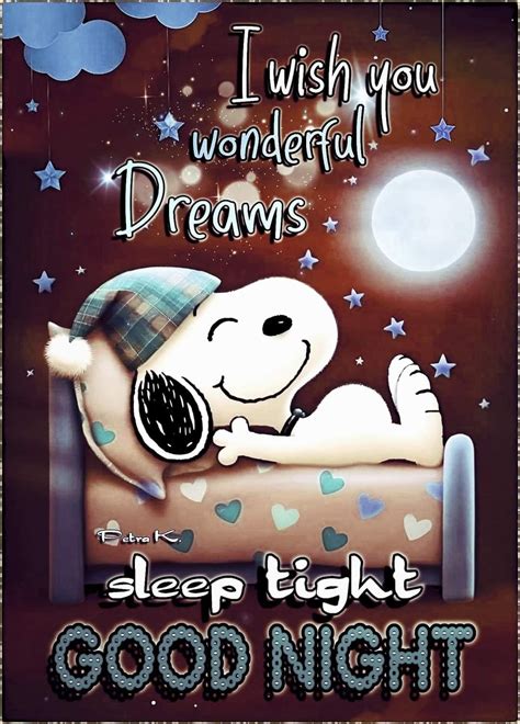 Pin by Ruth Risner on Snoopy | Funny good night images, Good night ...