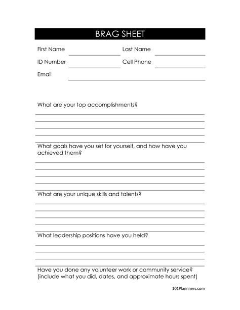 FREE Editable Brag Sheet Template | Word, Typeable PDF, Image