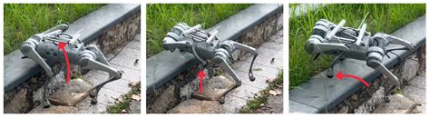 Skeleton Information-Driven Reinforcement Learning Framework for Robust ...