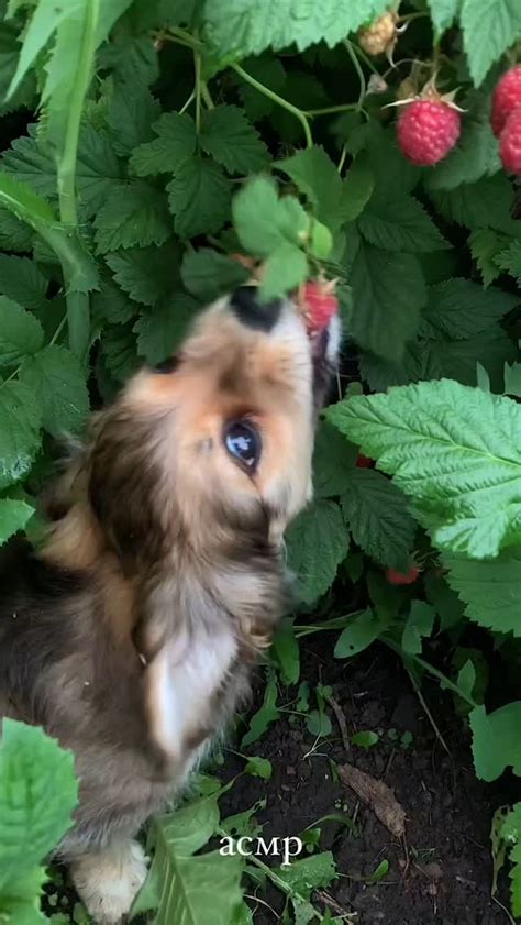 Viral Vibes | As of February 2025, several hashtags are trending on Instagram, especially in India. Here are some popular hashtags you might consider... | Instagram