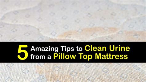 Pillow Top Mattress Cleaning - Guide for Removing Urine Stains