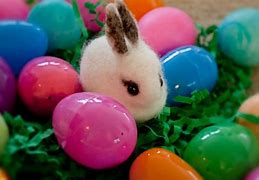 Image result for Easy Easter Bunny Felt