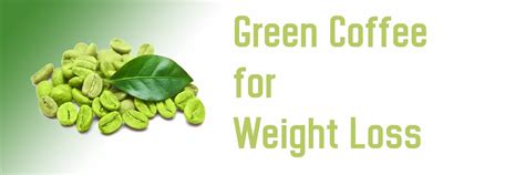 RewardLink-Green Coffee for Weight Loss: Benefits and How to Use It
