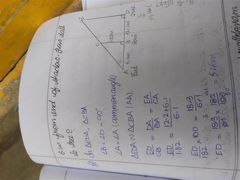 Ravi is 1.82m tall. he wants to find the height of a tree in his ...