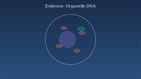 Cloning Reproduction 的图像结果