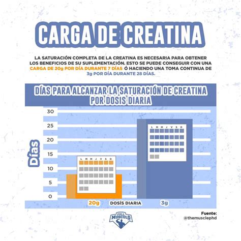 Qué es la Creatina, para qué sirve y cómo tomarla ? • FullMusculo