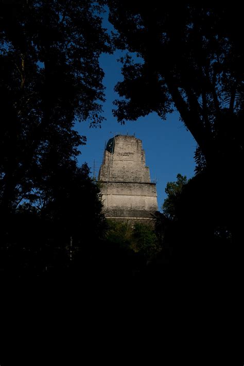 Tikal • Choosing Figs
