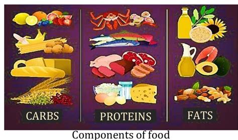 Science Components of Food 的图像结果