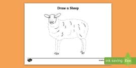 Draw a Sheep Art Activity, Sheep, Drawing (teacher made)