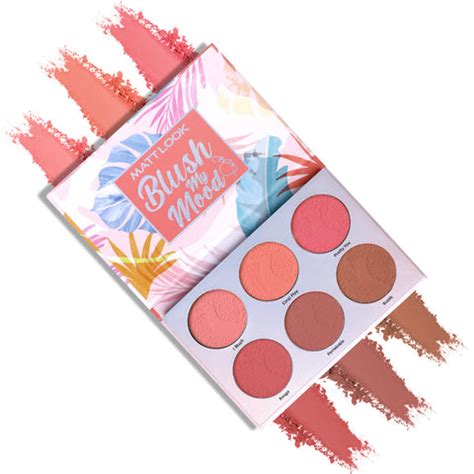 Matt look Blush My Mood Blusher Palette – Little Profit Trading Co.