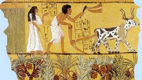 Agriculture in Egypt 的图像结果