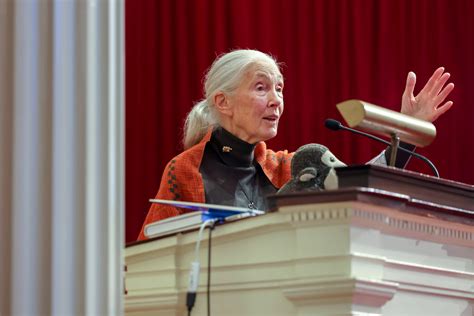 Jane Goodall Education Background - Career Education