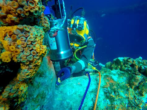 Tethys-Plantgeria | Services - Diving