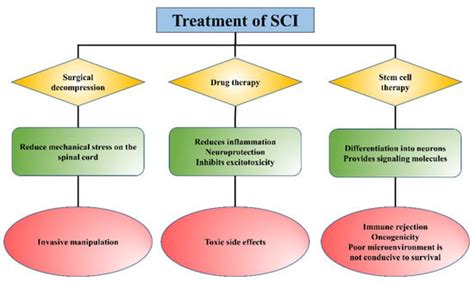Application of Injectable Hydrogels as Delivery Systems in Spinal Cord ...