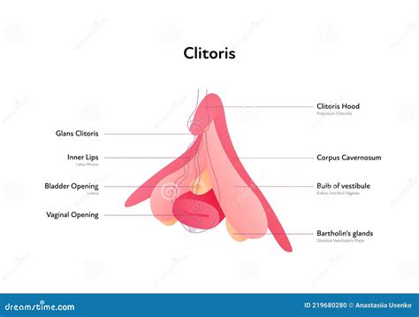 Clitoris Is Painful