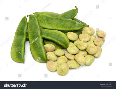 1,029 Lima Bean Pattern Background Images, Stock Photos & Vectors ...