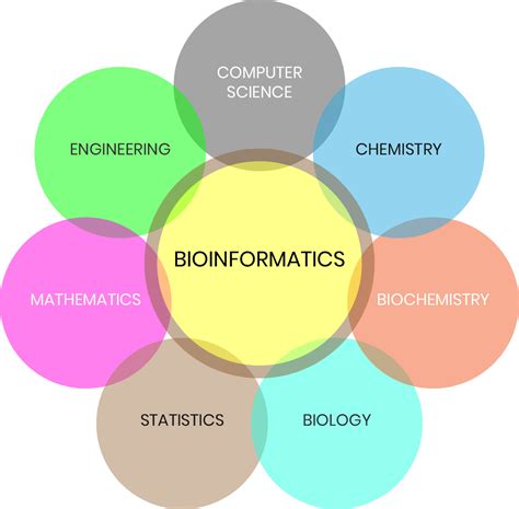 Bioinformatics Basic 的图像结果