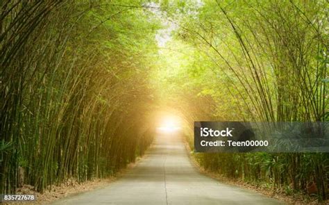 Image result for Course Line Up Examples